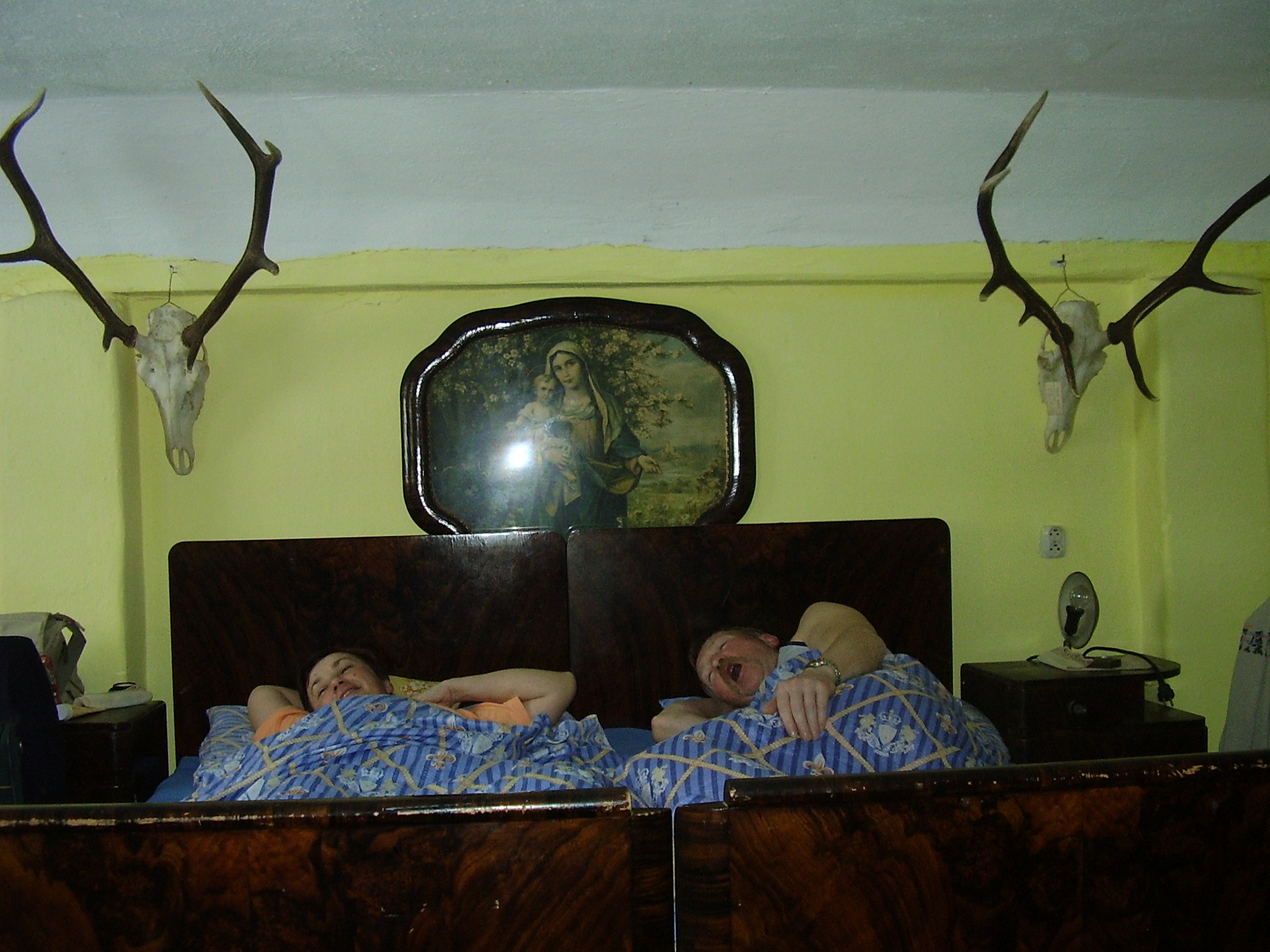 hory 20061-8 jpg
